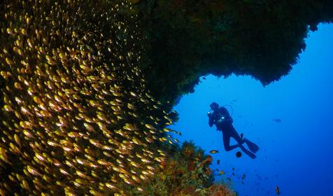 Brennia Kottefaru Maldives