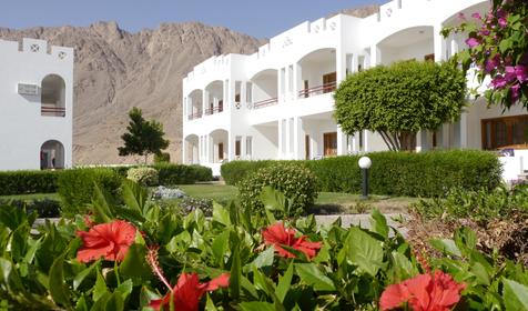 Happy Life Village Dahab