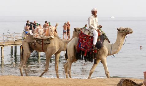 Happy Life Village Dahab