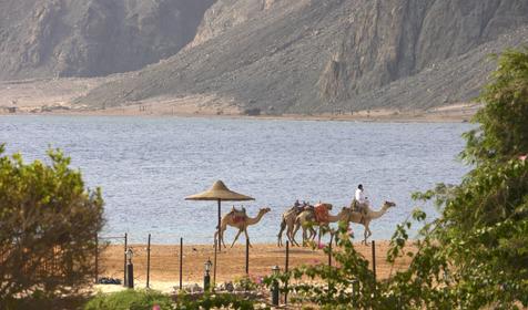 Happy Life Village Dahab
