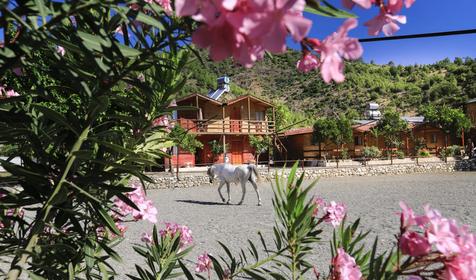 Oranj Ranch Hotel