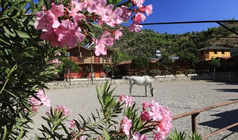 Oranj Ranch Hotel