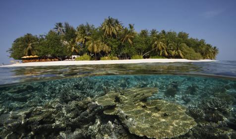 Ayada Maldives