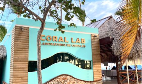 Coral Level At Iberostar Selection Bavaro
