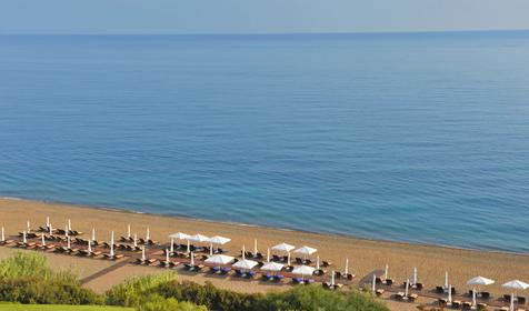 Anassa