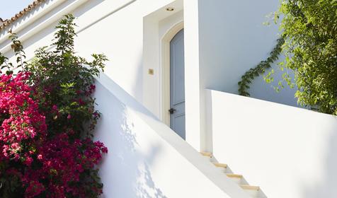 Anassa