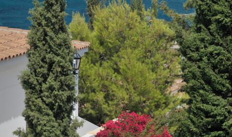 Anassa