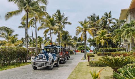 Barcelo Bavaro Palace