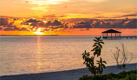 South Palm Resort Maldives