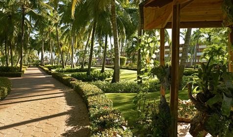 Iberostar Punta Cana