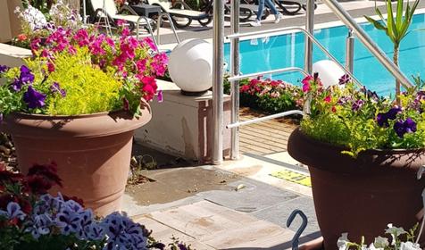 Rose Resort Hotel (ex. Pgs)